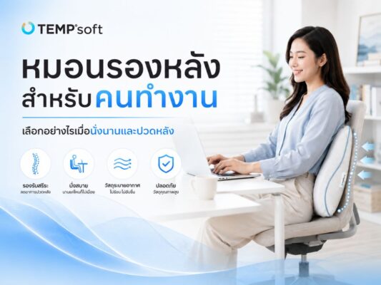 หมอนรองหลังสำหรับคนทำงาน เลือกอย่างไรเมื่อนั่งนานและปวดหลัง