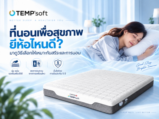 ที่นอนเพื่อสุขภาพ ยี่ห้อไหนดี? มาดูวิธีเลือกให้เหมาะกับสรีระและการนอน